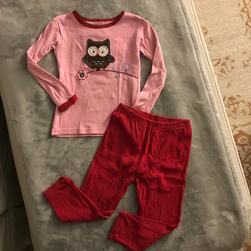 EUC Carter's Toddler Owl Long Sleeve with Pants Pajama Set Sz 2T